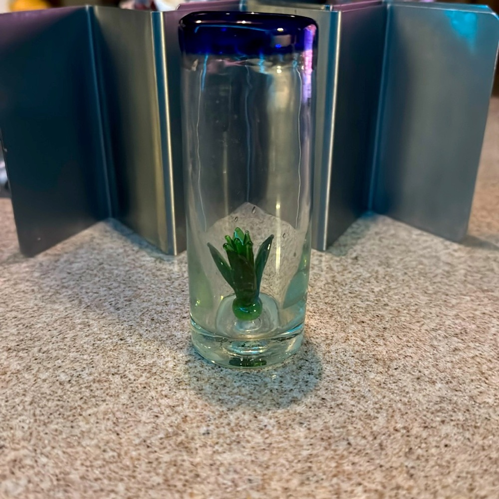 Tequila double shot hand blown glass